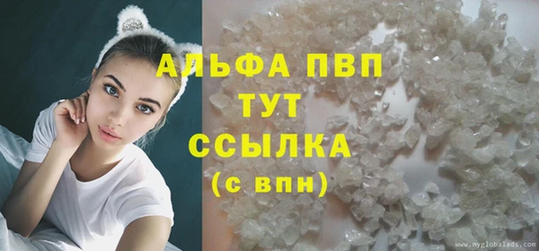 стафф Алзамай