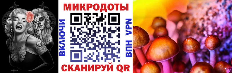 Галлюциногенные грибы прущие грибы  купить закладку  Краснокамск 