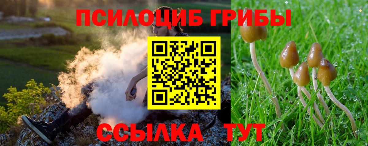 Псилоцибиновые грибы GOLDEN TEACHER  Галлюциногенные грибы Cubensis  Краснокамск  Вход с VPN 